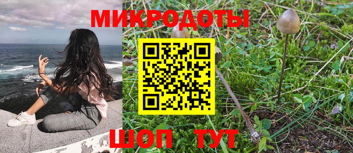 Галлюциногенные грибы GOLDEN TEACHER  Вход с VPN  Зима  Псилоцибиновые грибы Psilocybine cubensis 